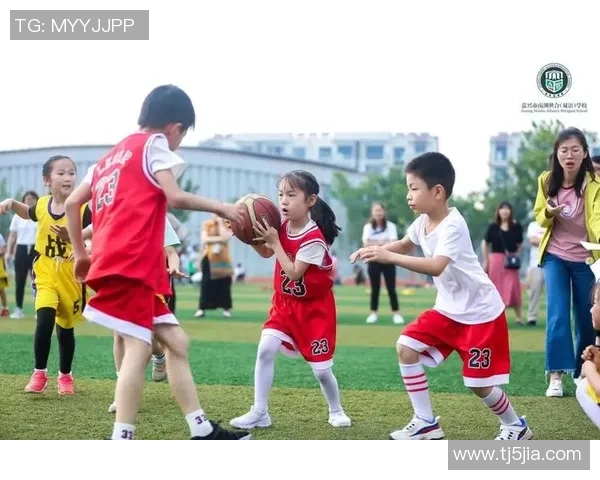 陈强篮球生涯回顾与展望对话分享运动精神与成长故事